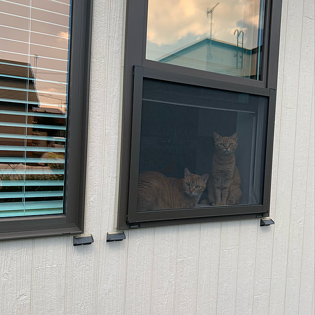 mikeume7さんの実例写真