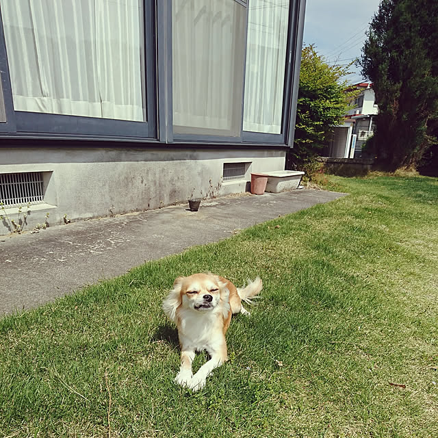 nattimomoさんの実例写真