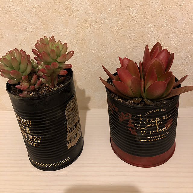 kawa_Takaさんの実例写真