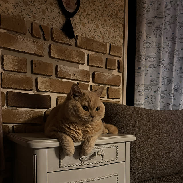 naokoさんの部屋