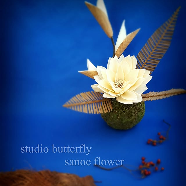 butterflyさんの実例写真