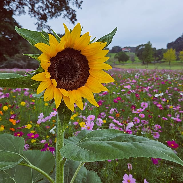 mocomocoさんの部屋
