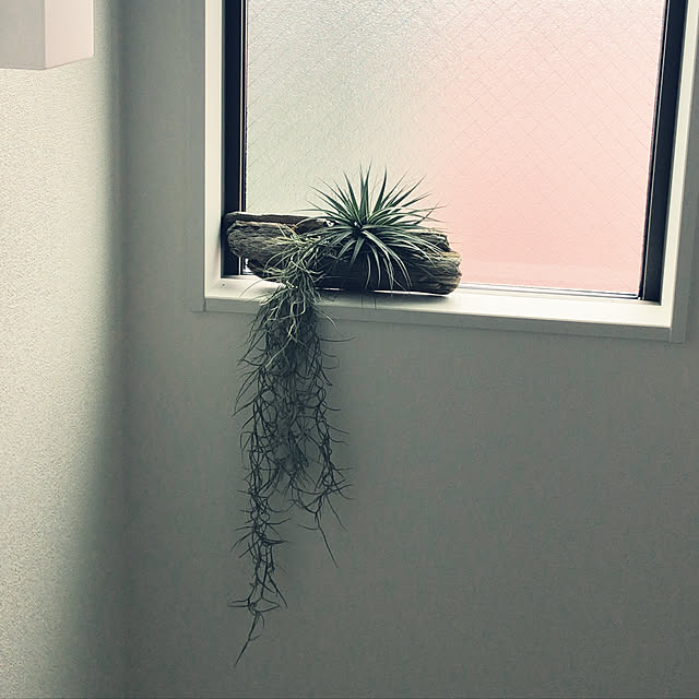meさんの実例写真