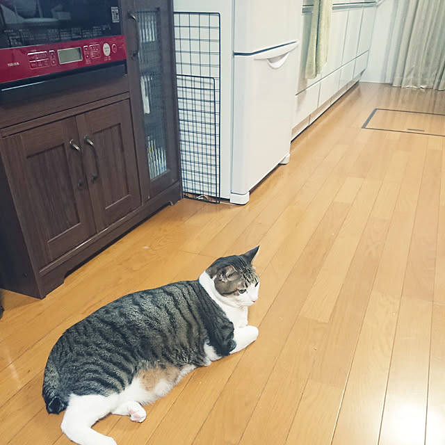 nachiさんの実例写真