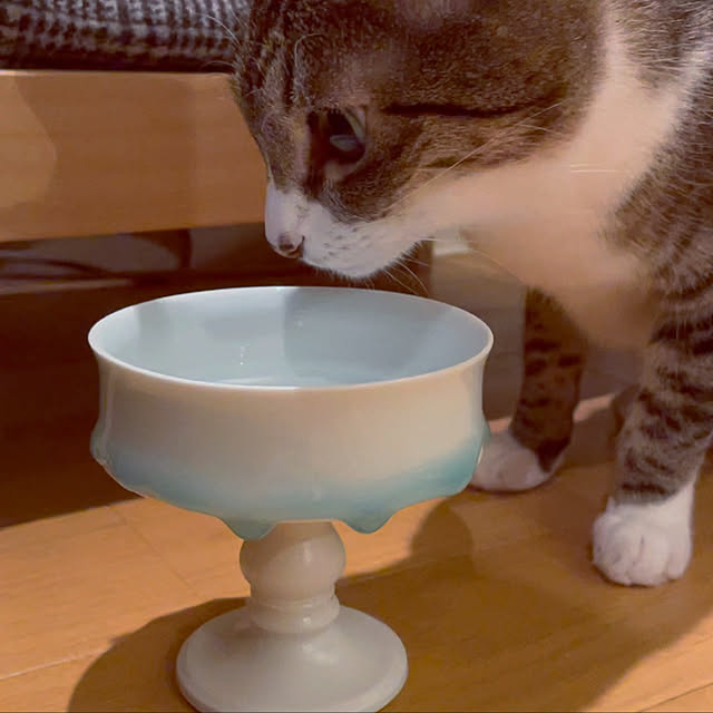 chihiroさんの実例写真
