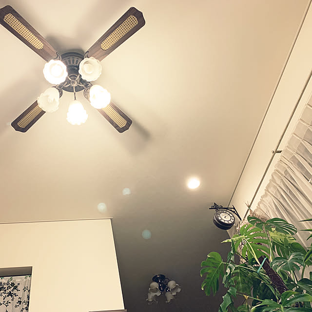 noinoi99さんの実例写真