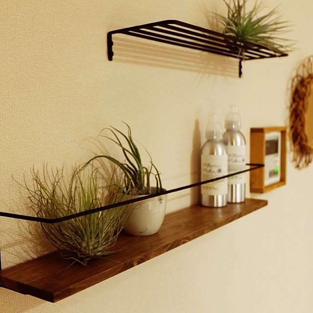 キッチン/手作り/DIY/植物/アンティーク...などのインテリア実例 - 2014-07-09 18:59:23