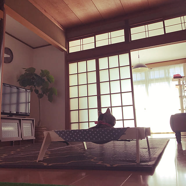jukai8153さんの実例写真