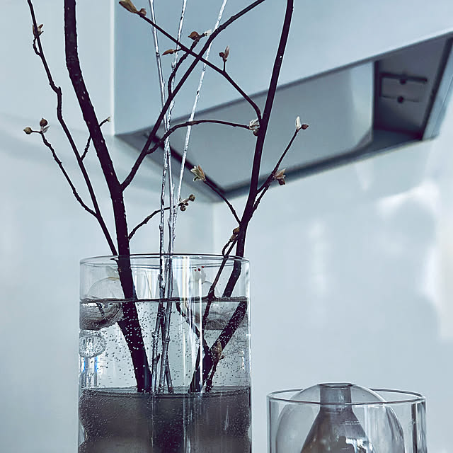 DAYONEさんの部屋