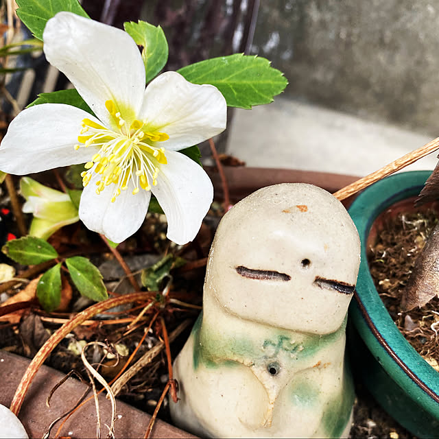 ohanaさんの実例写真