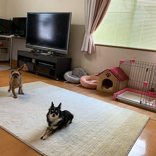 makoさんの実例写真