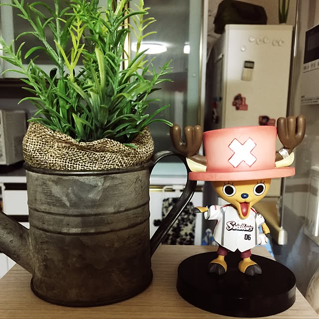 実例写真