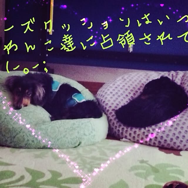 uriwabiさんの実例写真