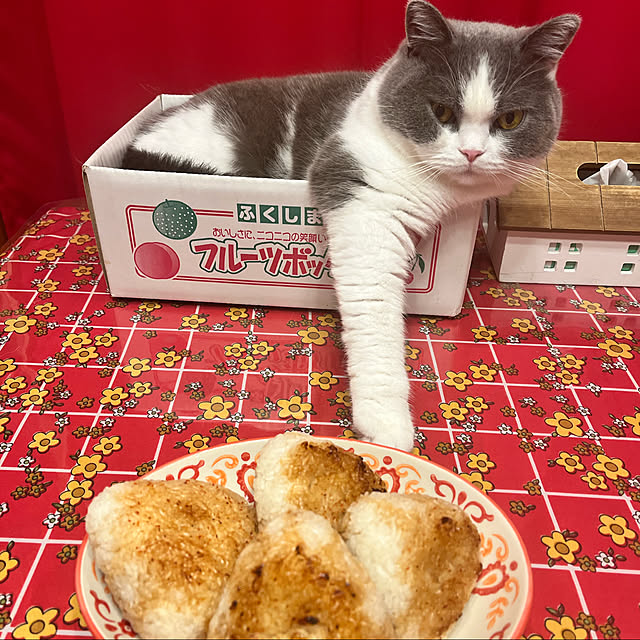 Riccoさんの実例写真