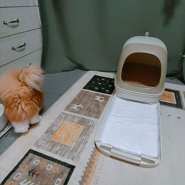 mori_6_12さんの部屋