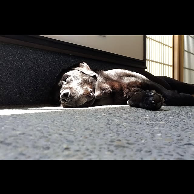 Taiyo_smさんの実例写真