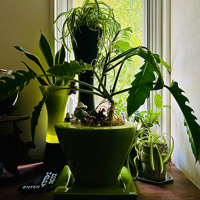 DAYONEさんの実例写真