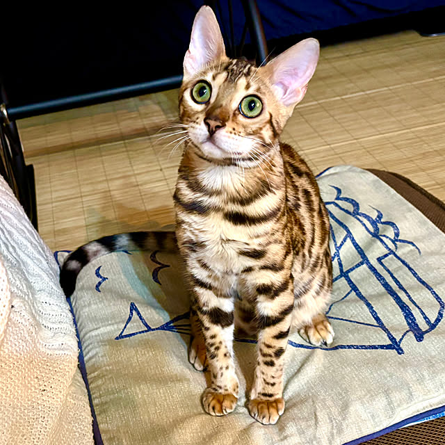 tututu0204さんの部屋