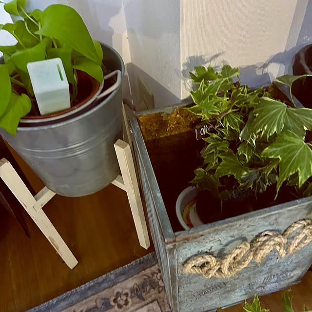 tomoさんの実例写真