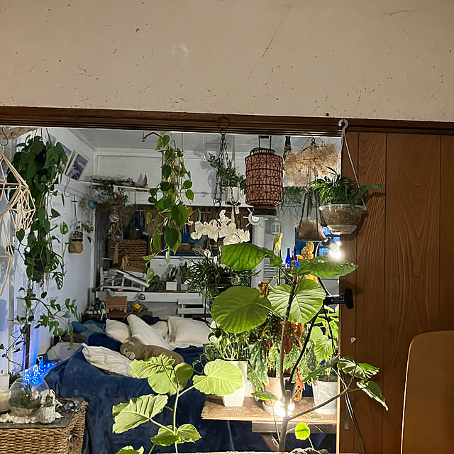 ganchan_0910さんの部屋