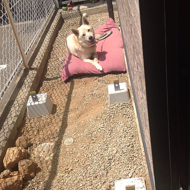 Muさんの実例写真
