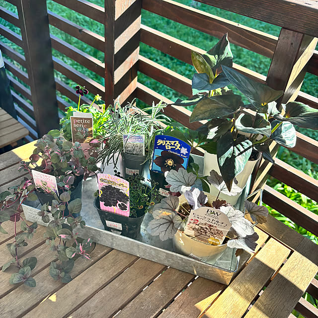 kyoko1124koさんの実例写真