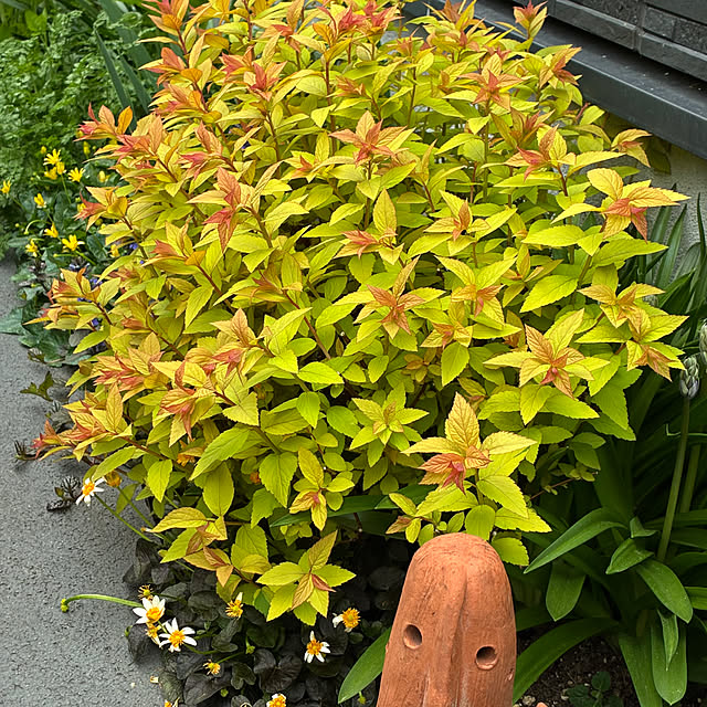 romiromiさんの部屋