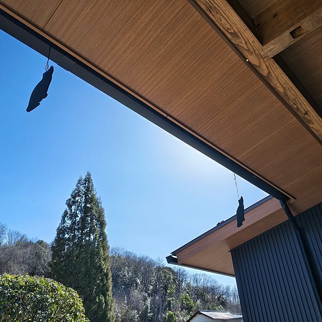 Rubiconさんの部屋