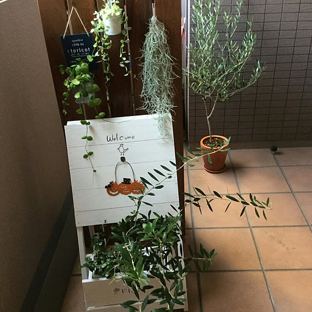 実例写真