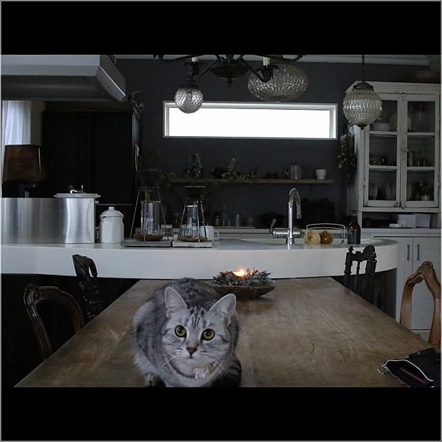 miiさんの実例写真