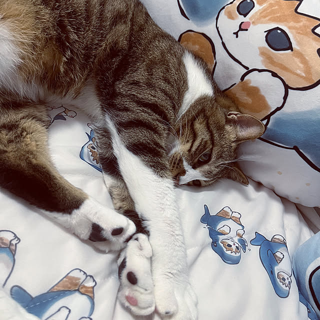 marinkarinさんの実例写真