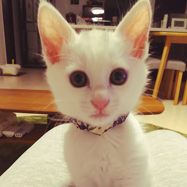 kaori0001さんの実例写真