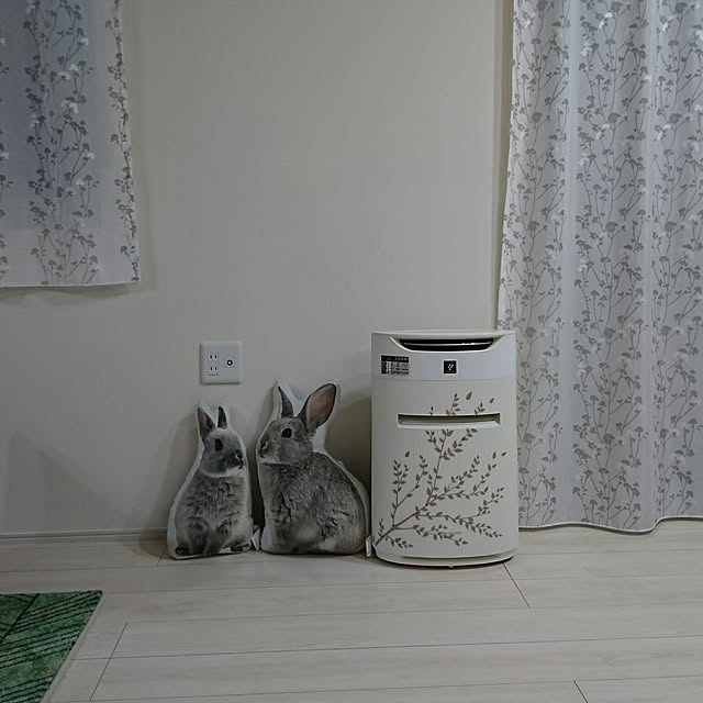 PAOさんの実例写真