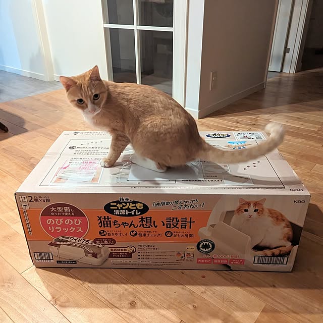 poteさんの実例写真