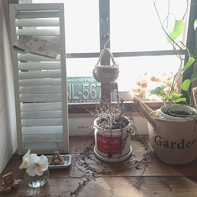 maharuさんの実例写真