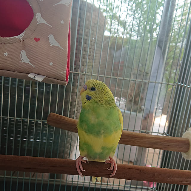 kyonさんの実例写真