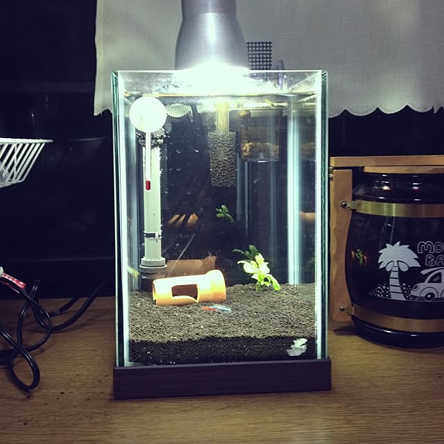 L.さんの実例写真
