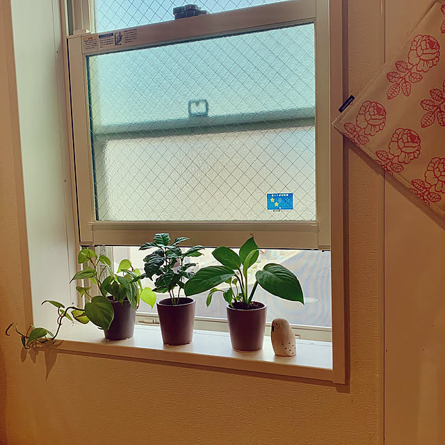 sakiさんの実例写真