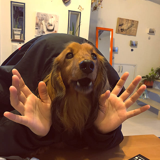 noma--1202さんの実例写真