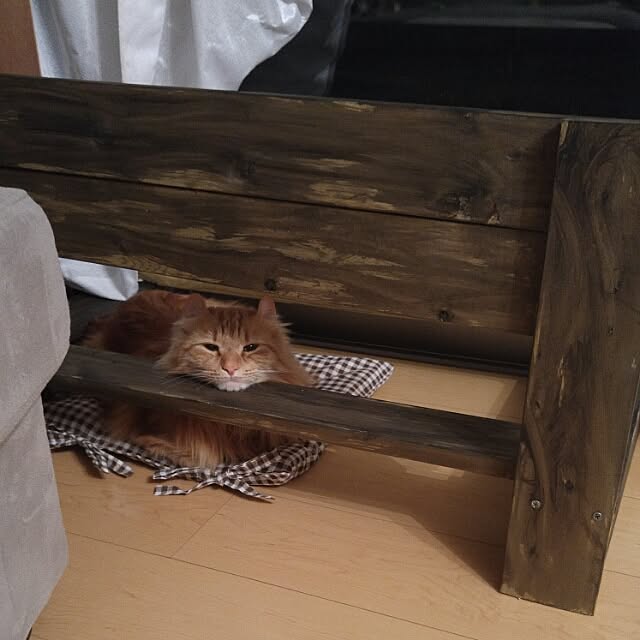 l..tomesanさんの実例写真