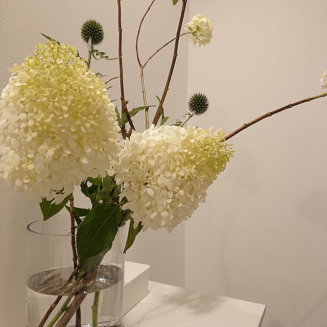 otokiさんの部屋