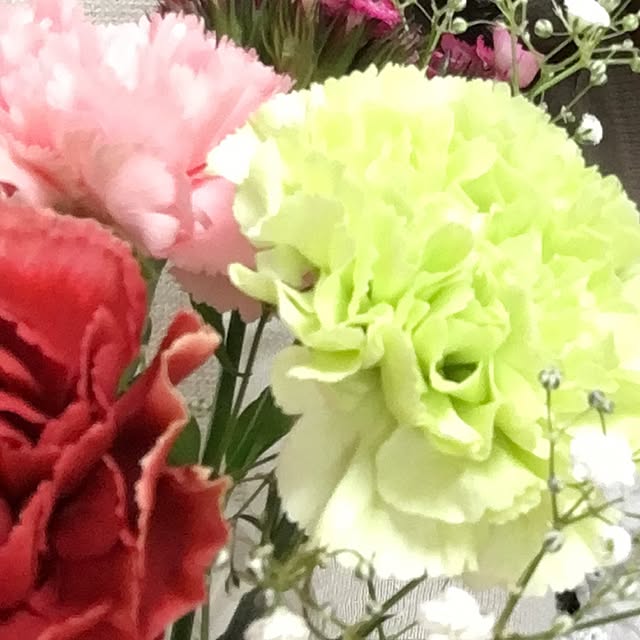 kikeikoさんの実例写真