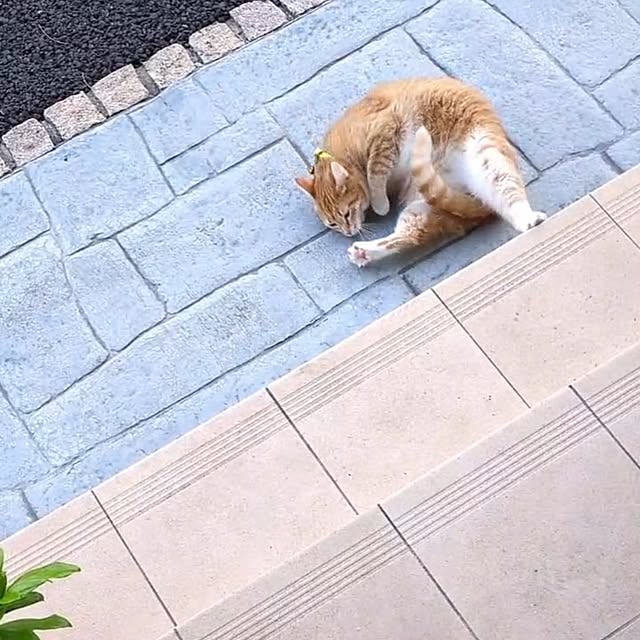 minnieさんの部屋