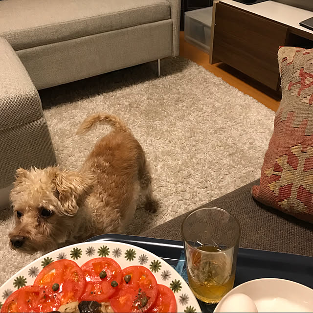 yさんの実例写真