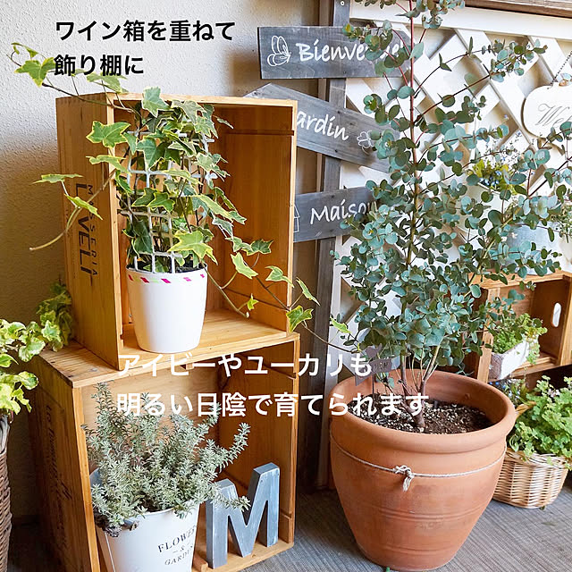 r_6cafeさんの実例写真