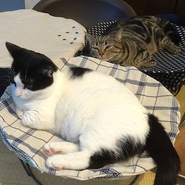 neuruさんの実例写真