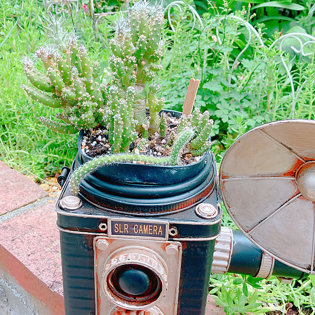 Hanakaさんの部屋