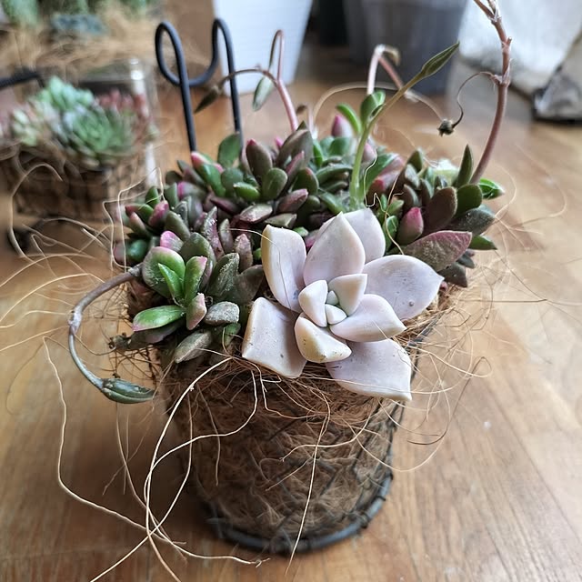 aoiroさんの部屋