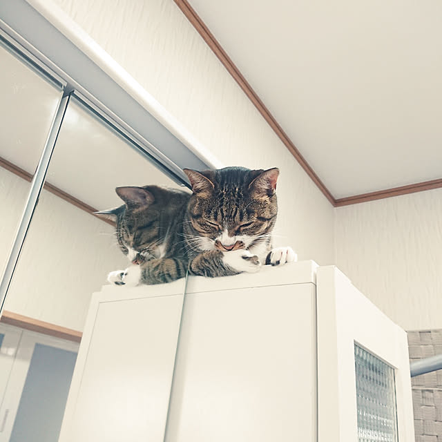 nachiさんの実例写真