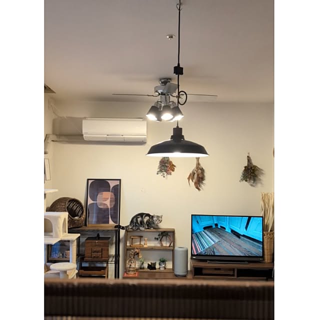 lovepeaceさんの部屋